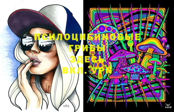 MDMA Горнозаводск