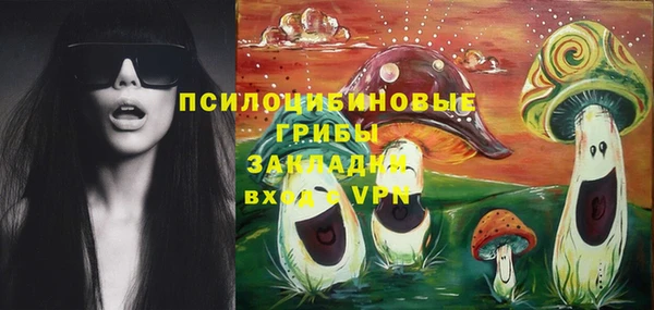 MDMA Горнозаводск