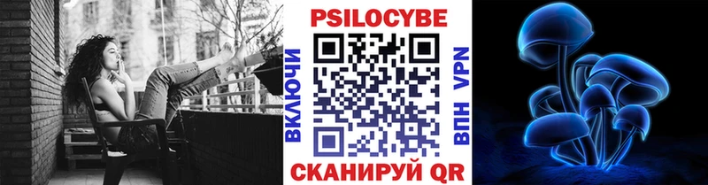 Купить где Кинешма Псилоцибиновые грибы прущие грибы